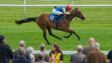 Awesome £650,000 horse with ‘a hell of an engine’ instantly made Royal Ascot favourite after astonishing debut