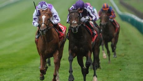 Five Derby horses who will love soft ground with ‘a hell of a lot of rain’ set to hit Epsom ahead of £1.5m race