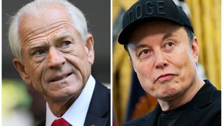 Peter Navarro calls on Musk to cleanse ‘cesspool’ on X and ban foreigners from the site