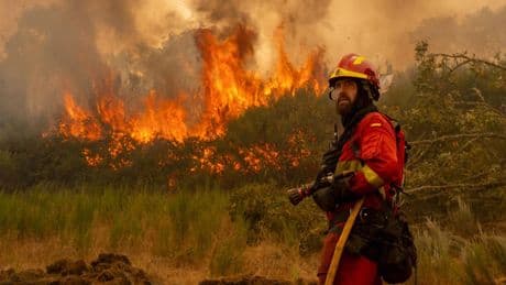 El fuego no da tregua: segunda víctima mortal en León y más de 50.000 hectáreas quemadas
