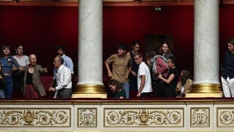 Loi Duplomb : comment la gauche veut rebondir sur le succès de la pétition