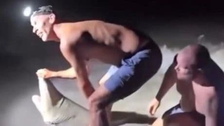 Un pescador de Florida es hospitalizado de urgencia tras ser mordido por un tiburón mientras se sacaba una foto con el animal