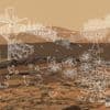 heise+ | Von giftig zu fruchtbar: Wie Forscher die Mars-Landwirtschaft starten wollen