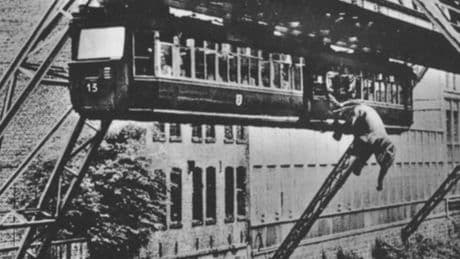 Jahrestag eines legendären Sturzes: Als Elefant Tuffi in die Wupper sprang