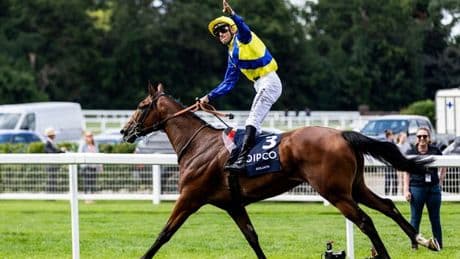 Goliath to miss £1.5m King George defence with major US race targeted instead