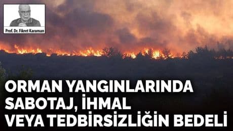Orman yangınlarında sabotaj, ihmal veya tedbirsizliğin bedeli