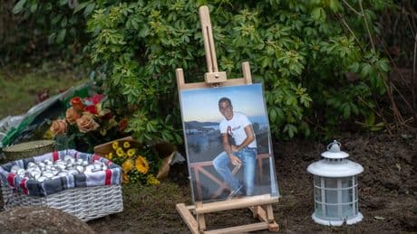 Abattage d’un olivier rendant hommage à Ilan Halimi : deux hommes interpellés et placés en détention provisoire dans l’attente de leur procès en octobre