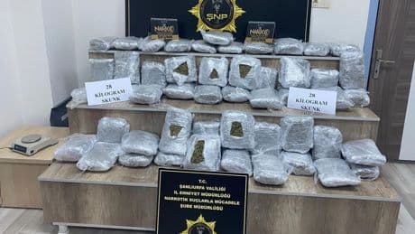 Siverek’te 28 kilo skunk ele geçirildi: 2 tutuklama