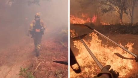 El impactante momento en el que bomberos de Ourense se ven obligados a escapar de las llamas: «¡Hay que salir de aquí!»