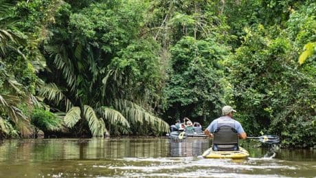 The ‘little Amazon’ of Costa Rica with sloths, canoe safaris and stays from £50