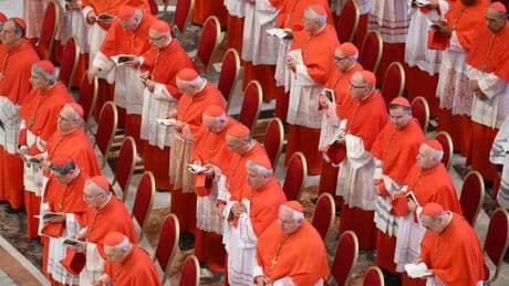 Kardinal-O-Mat ermittelt persönlichen Papstfavoriten