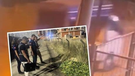O salatalıklar başını yaktı: 17.2 milyon liraya kadar ceza kesilecek!
