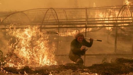 Spagna, tsunami di fuoco nel nord-ovest: oltre 1.150 km² devastati dagli incendi