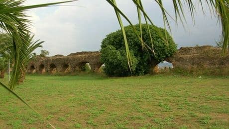 Roma, violentata e rapinata mentre è a spasso col cane al parco di Tor Tre Teste: «Mi ha strappato i vestiti e portato via il cellulare»