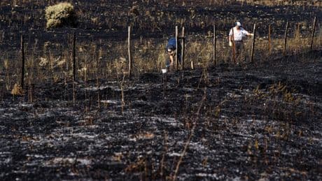 Agricultores y ecologistas se unen: “Un fuego se apaga en invierno con limpiezas de montes”