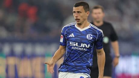 Es geht auch um eine Schalke-Klausel - Die 4 Schallenberg-Szenarien
