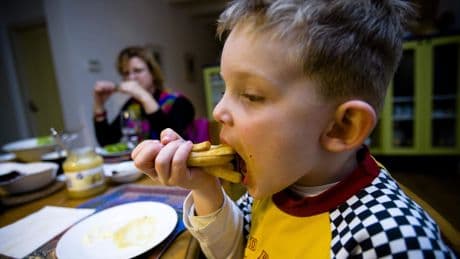 Aardappelverwerker CêlaVíta failliet, toekomst werknemers nog onzeker
