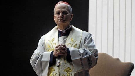 Les 12 travaux du pape Léon XIV
