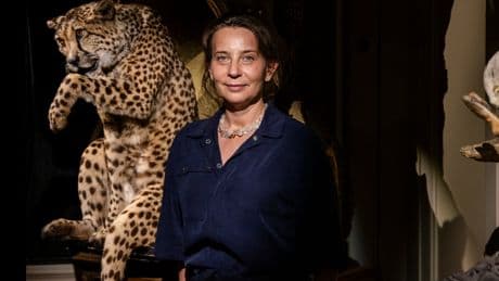The Curious Animals of Amsterdam’s Art Zoo