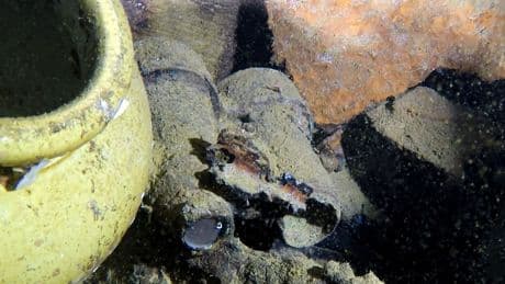 Découverte archéologique : le triste sort du « Britannic », frère jumeau du « Titanic »
