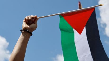 À Saint-Nazaire, les écologistes demandent à la mairie de hisser le drapeau palestinien