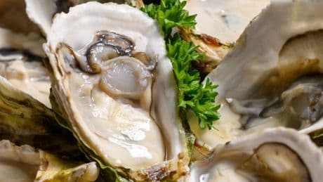 Two more people die after eating oysters tainted with flesh-eating bacteria