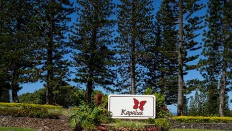 Kapalua golf course without irrigation for 7 days under worsening water restrictions