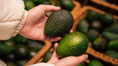Avocados richtig prüfen: 5 Anzeichen verraten Ihnen, ob die Frucht wirklich verdorben ist