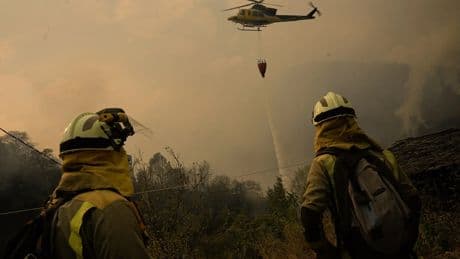 Las comunidades despliegan sus primeras ayudas después de tres semanas de incendios: vivienda, viñedos, pasto para ganado y pymes
