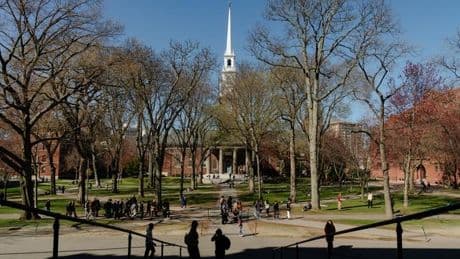 USA: US-Regierung will verbliebene Verträge mit Harvard aufkündigen