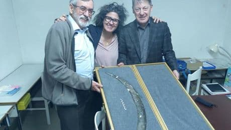 Archaeologists discover what could be world’s oldest boomerang in Europe