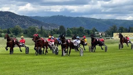 La course hippique d'Oraison maintenue malgré la menace d'un foyer infectieux à proximité