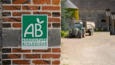 Agriculture biologique : une production menacée malgré une consommation en hausse