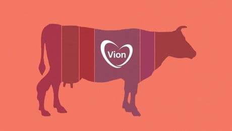 Fleisch: Kampfansage an Tönnies – Westfleisch will Vion-Schlachthöfe kaufen