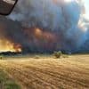 Feuer: Eine Tote bei Vegetationsbrand in Frankreich
