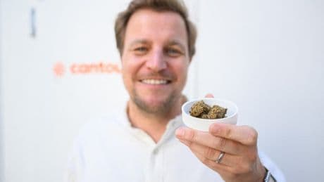 En Allemagne, une industrie du cannabis médical en plein boom