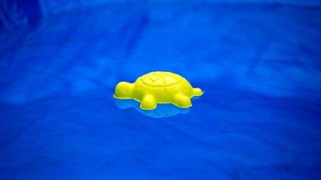 Zwei vermisste Kinder tot in Pool in Frankreich gefunden