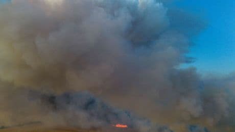 Feuer: Mehrere Waldbrände halten Feuerwehren im Osten in Atem