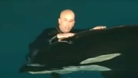 Killer whale locks jaws around SeaWorld trainer and drags him underwater in horror video