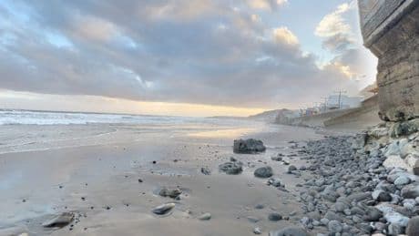 Woman’s dismembered body found on beach after telling friends she was going to party