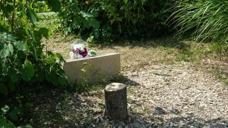Une enquête ouverte après qu’un olivier rendant hommage à Ilan Halimi a été abattu à Epinay-sur-Seine