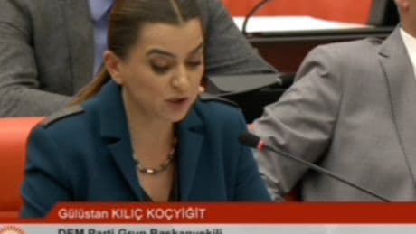 Koçyiğit, Mecliste Kürtçe konuşunca MHP’li Adan mikrofonunu kapattı