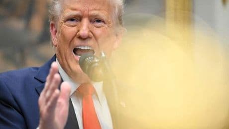 Antoine Bouët, économiste : « Parmi les pays à haut revenu, ce sont les Etats-Unis qui souffriront le plus de la guerre commerciale lancée par Donald Trump »