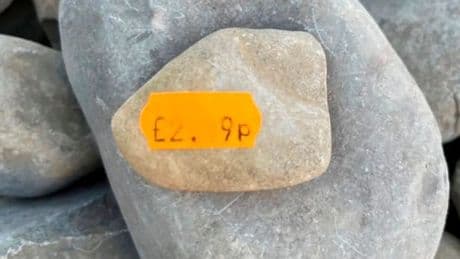 Vinted users baffled by £2.19 beach rock listing with bizarre TV show connection