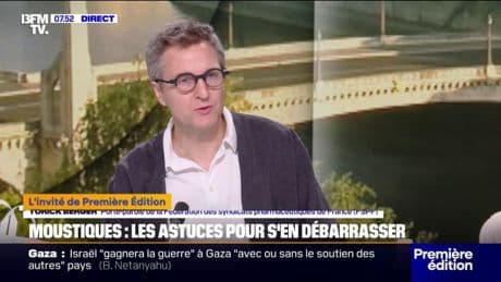 Moustiques: quelles sont les astuces pour s'en débarrasser?