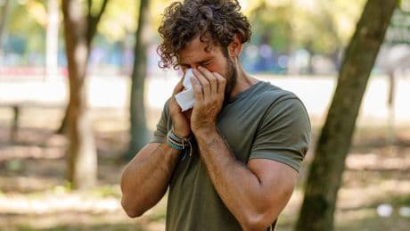 Zo wapen jij je tegen pollen: hoogleraar over zin en onzin van remedies tegen hooikoorts