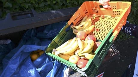 Lebensmittelabfälle: Überschwang hilft nicht gegen Verschwendung