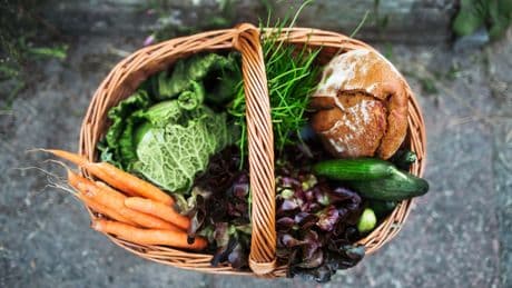 Laut Studie: Warum die Ernährung beim Abnehmen 10-mal wichtiger ist als Sport