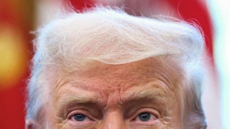 Trump tantea la paz en Ucrania, Putin ofrecerá negocios a EEUU para que se olvide de ella: "Es muy peligroso para Europa"