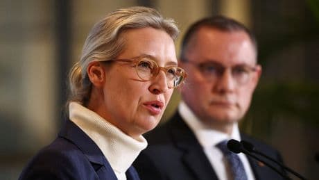 Exklusive INSA-Umfrage - Das denken die Deutschen über das AfD-Beben